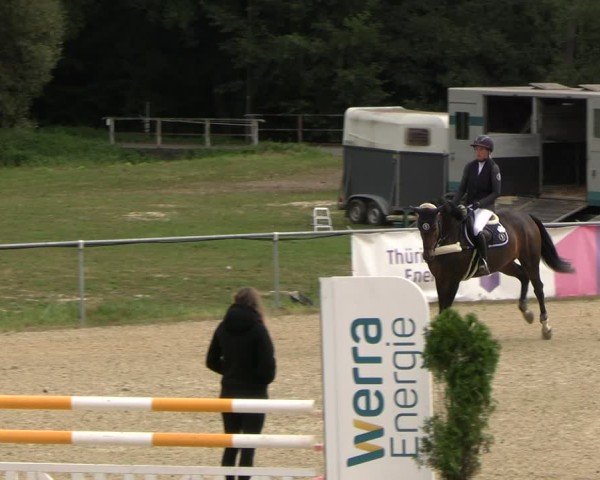 Reitturnier Bad Liebenstein/Sorga 2024