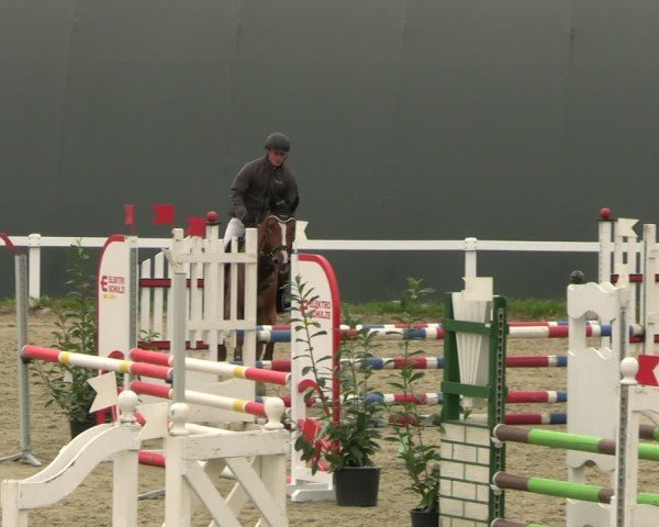 Reitturnier Bad Schmiedeberg 2024