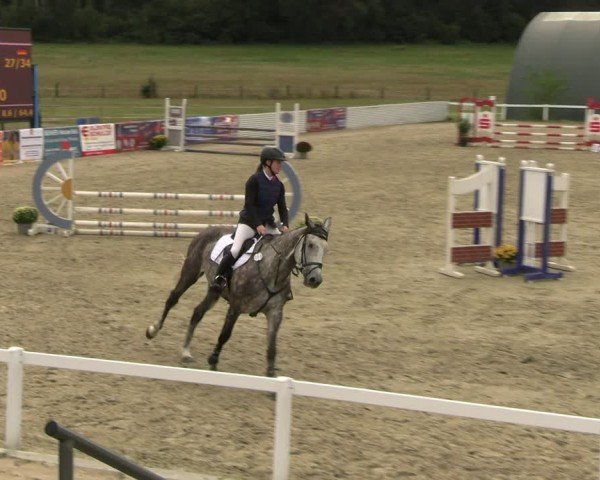 Reitturnier Bad Schmiedeberg 2024