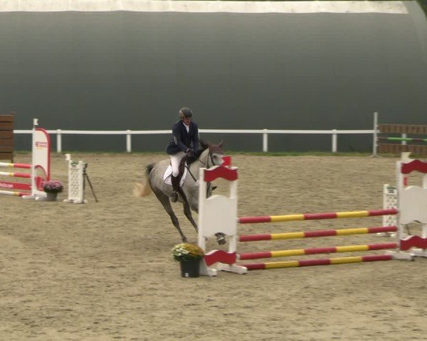 Reitturnier Bad Schmiedeberg 2024
