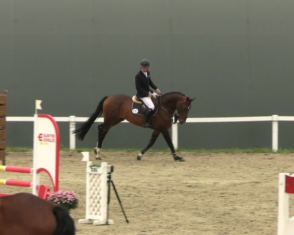 Reitturnier Bad Schmiedeberg 2024
