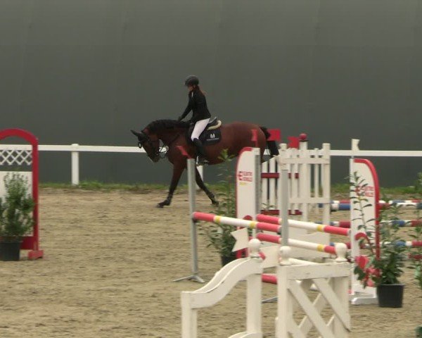 Reitturnier Bad Schmiedeberg 2024