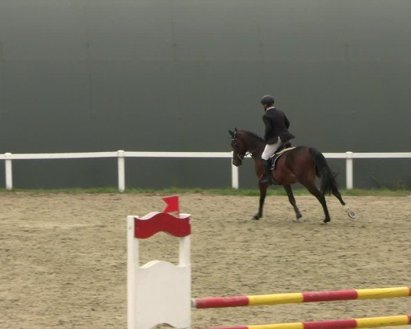 Reitturnier Bad Schmiedeberg 2024