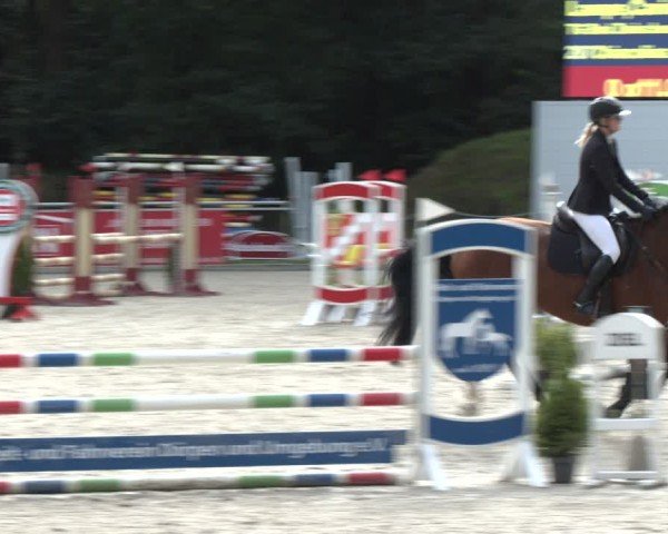 Reitturnier Dörpen 2024