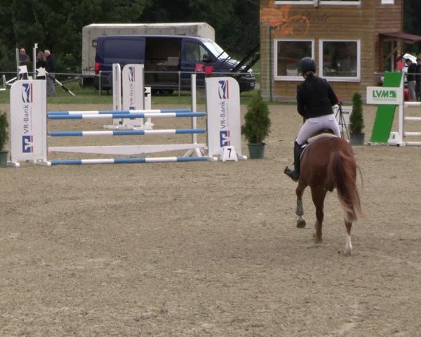 Reitturnier Bad Liebenstein/Sorga 2024