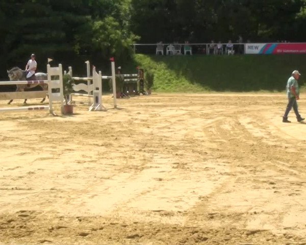 Sommerturnier Dülken-Viersen 2013
