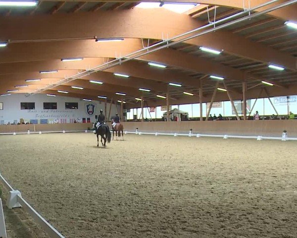 Reitturnier Grafenrheinfeld/Ufr. 2024