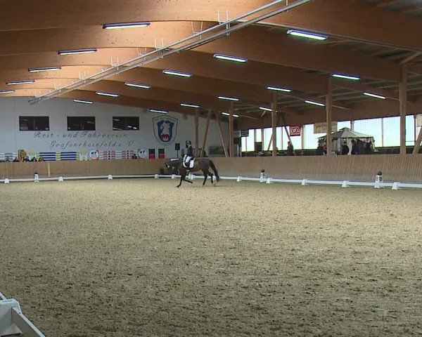 Reitturnier Grafenrheinfeld/Ufr. 2024