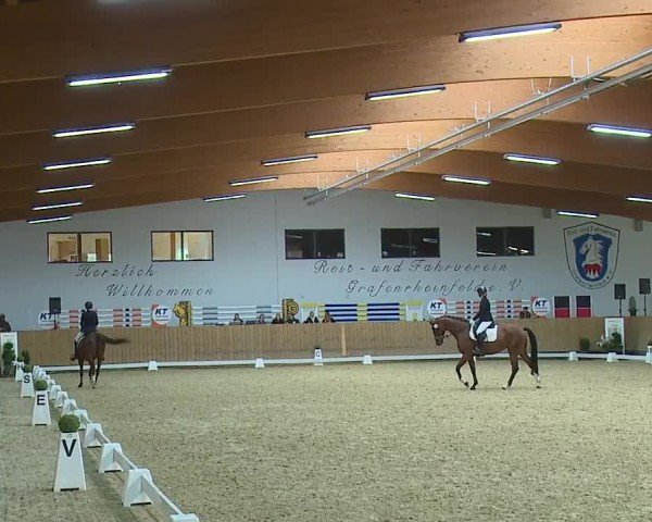 Reitturnier Grafenrheinfeld/Ufr. 2024