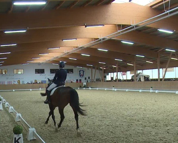 Reitturnier Grafenrheinfeld/Ufr. 2024