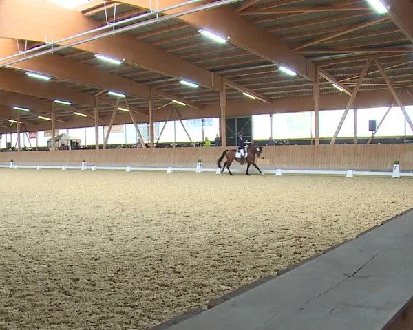 Reitturnier Grafenrheinfeld/Ufr. 2024