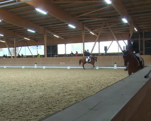 Reitturnier Grafenrheinfeld/Ufr. 2024