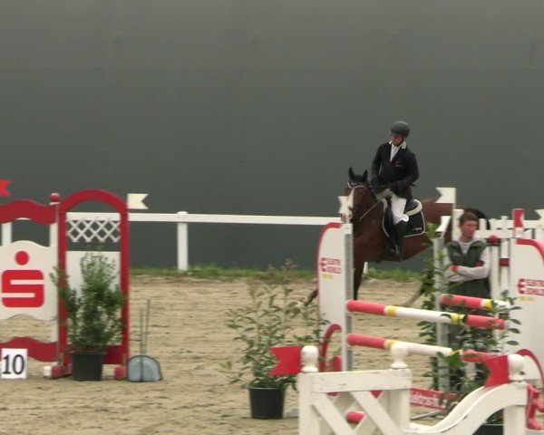 Reitturnier Bad Schmiedeberg 2024