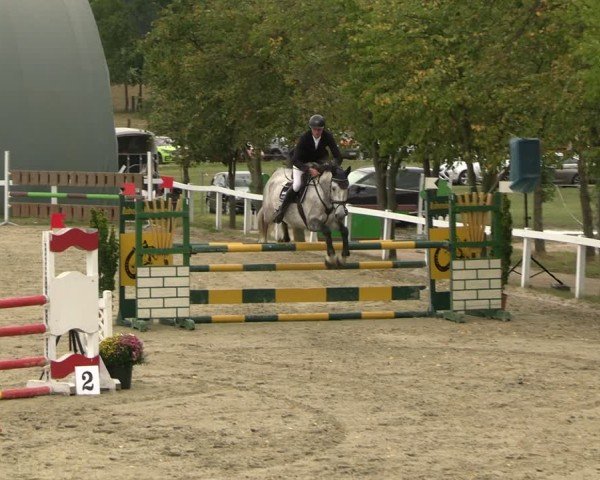 Reitturnier Bad Schmiedeberg 2024