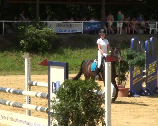 Sommerturnier Dülken-Viersen 2013