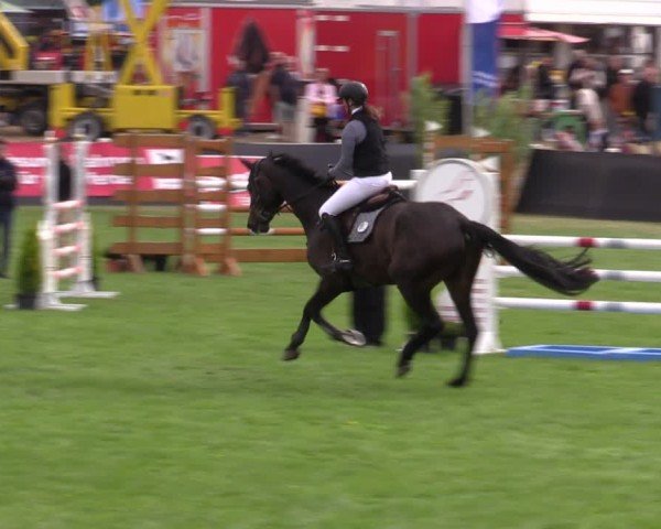 Reitturnier Mühlengeez 2024