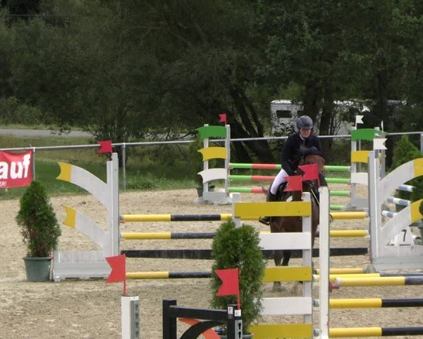 Reitturnier Bad Liebenstein/Sorga 2024