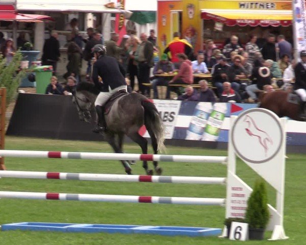 Reitturnier Mühlengeez 2024
