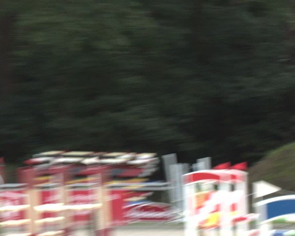 Reitturnier Dörpen 2024