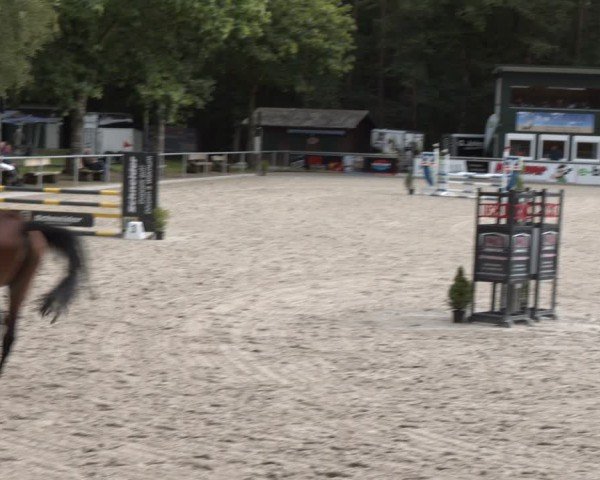Reitturnier Dörpen 2024
