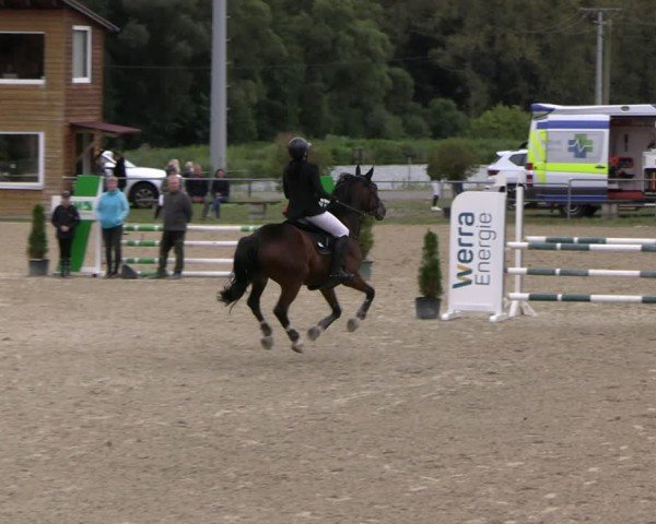 Reitturnier Bad Liebenstein/Sorga 2024