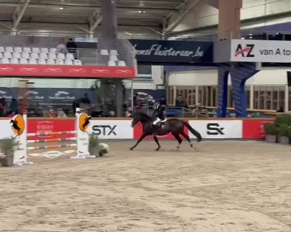 Video of Canizares ex. Conquistador