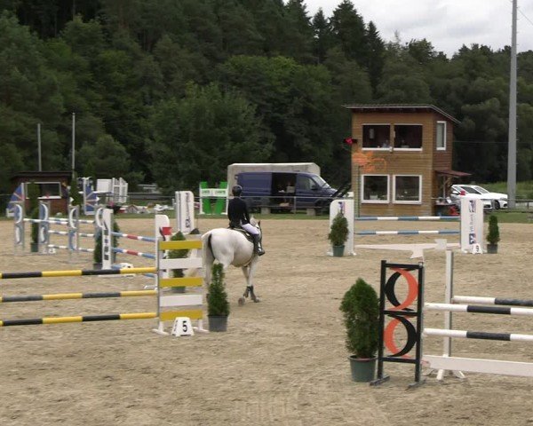 Reitturnier Bad Liebenstein/Sorga 2024