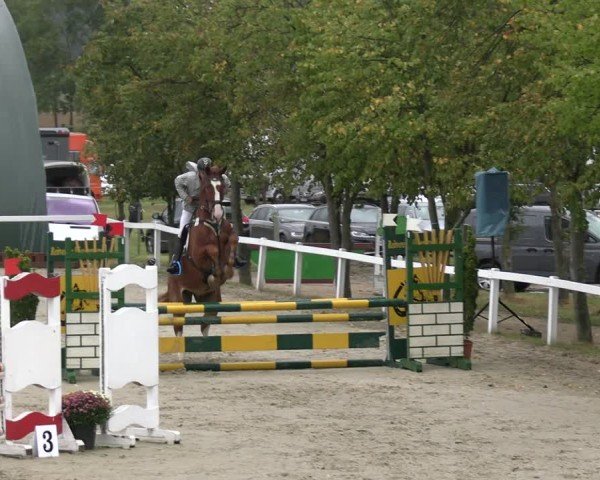 Reitturnier Bad Schmiedeberg 2024