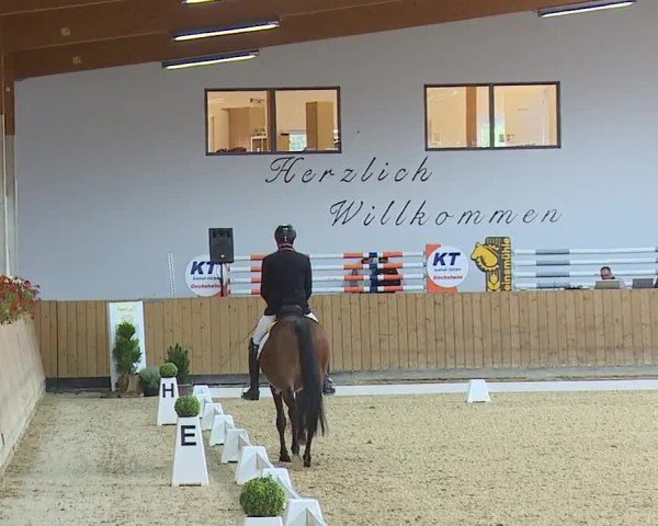Reitturnier Grafenrheinfeld/Ufr. 2024