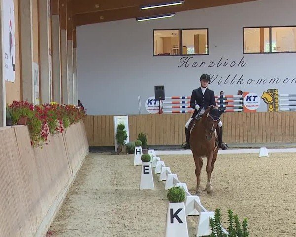 Reitturnier Grafenrheinfeld/Ufr. 2024