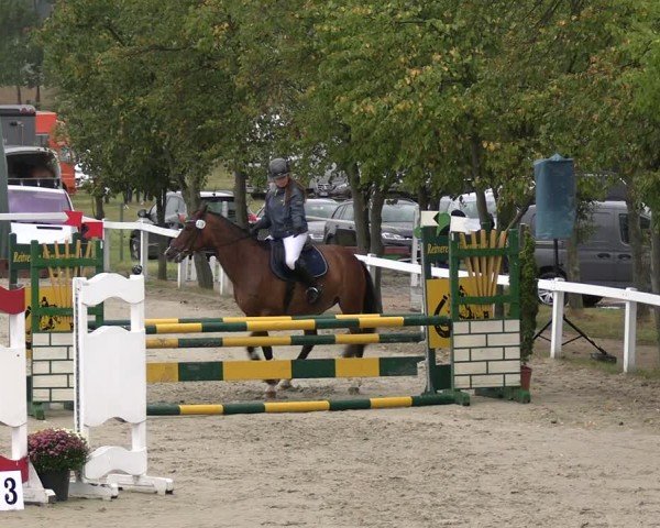 Reitturnier Bad Schmiedeberg 2024