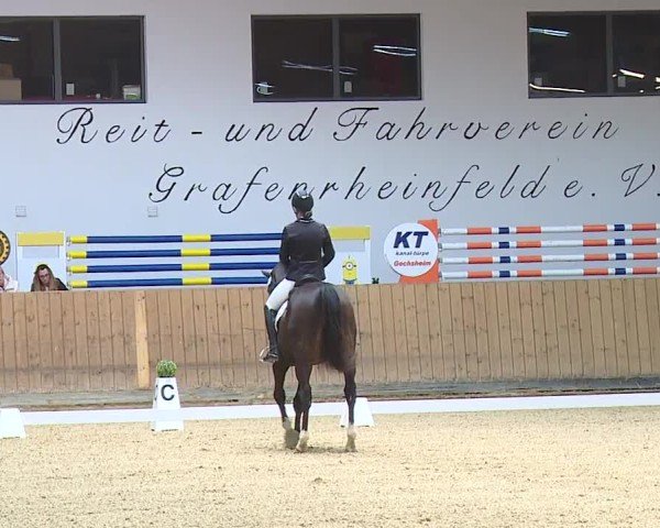 Reitturnier Grafenrheinfeld/Ufr. 2024