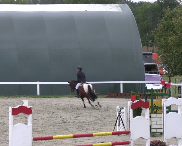 Reitturnier Bad Schmiedeberg 2024