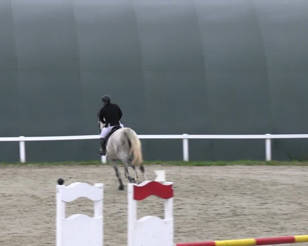 Reitturnier Bad Schmiedeberg 2024
