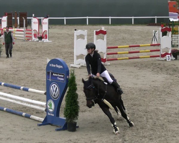 Reitturnier Bad Schmiedeberg 2024