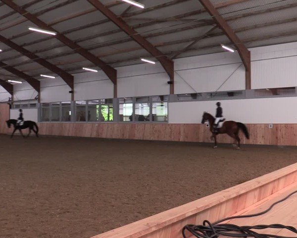 Reitturnier Albersloh 2024