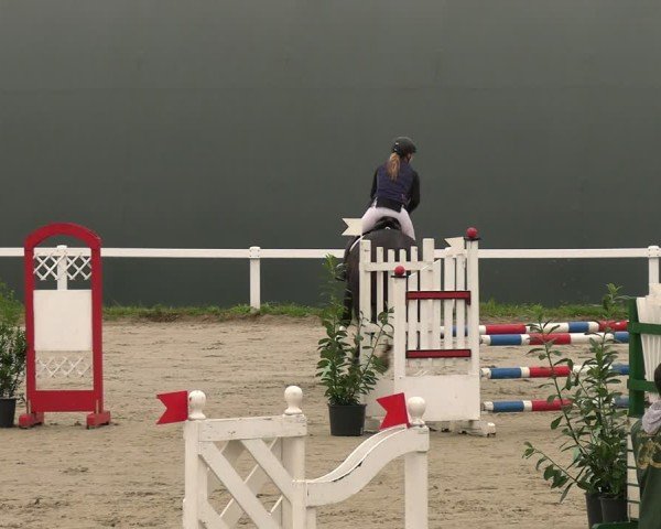 Reitturnier Bad Schmiedeberg 2024