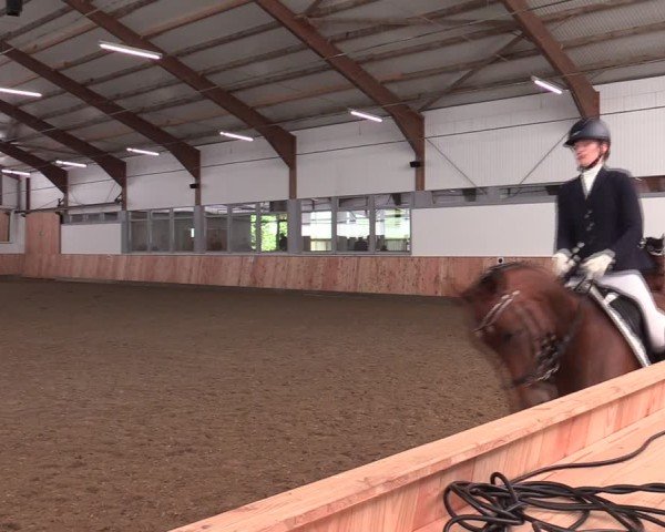 Reitturnier Albersloh 2024