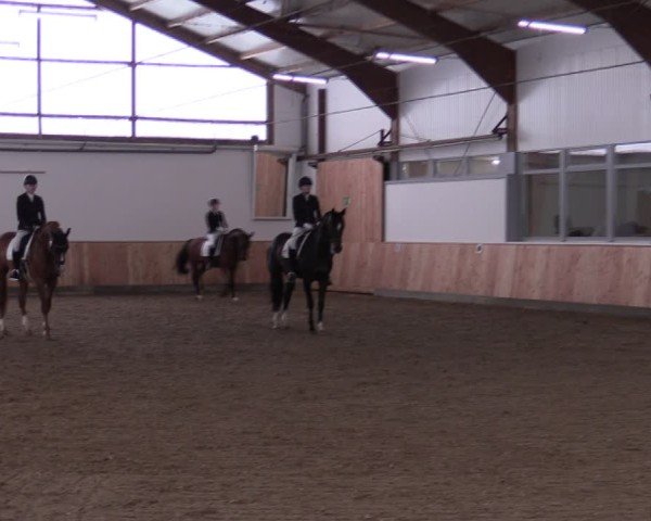 Reitturnier Albersloh 2024