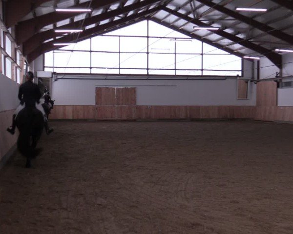 Reitturnier Albersloh 2024