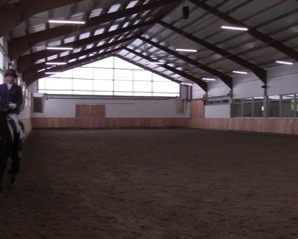 Reitturnier Albersloh 2024