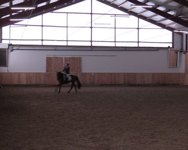 Reitturnier Albersloh 2024