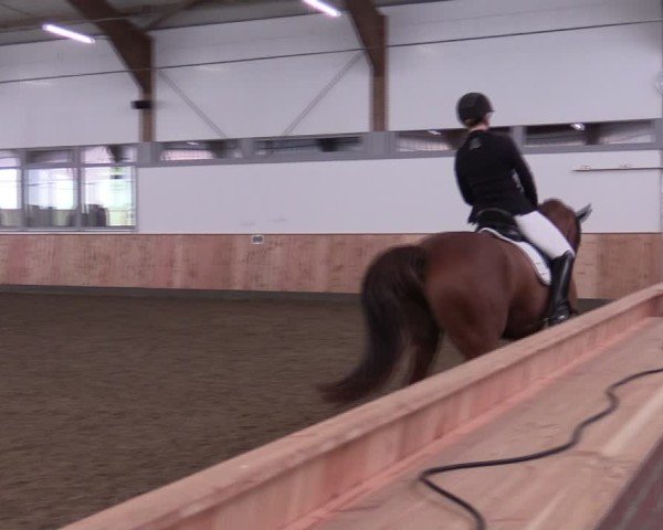 Reitturnier Albersloh 2024