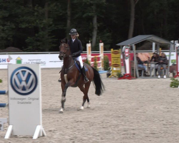 Reitturnier Dörpen 2024
