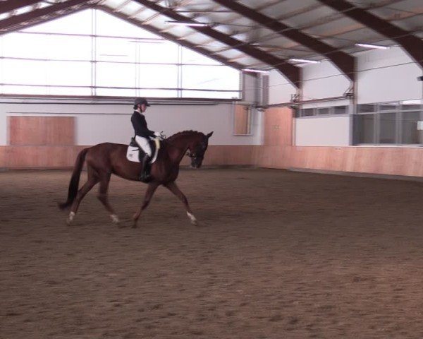 Reitturnier Albersloh 2024