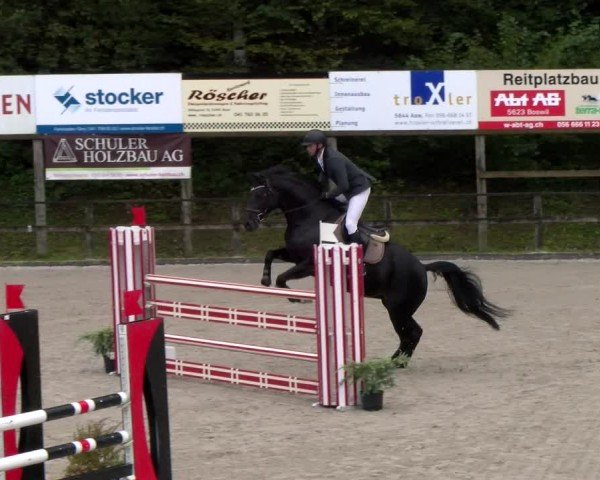 Reitturnier Sins 2024