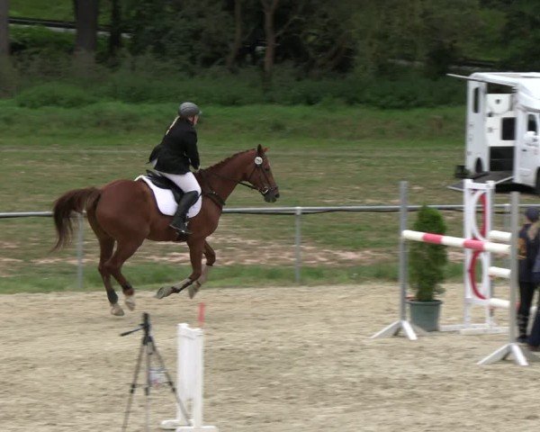 Reitturnier Bad Liebenstein/Sorga 2024