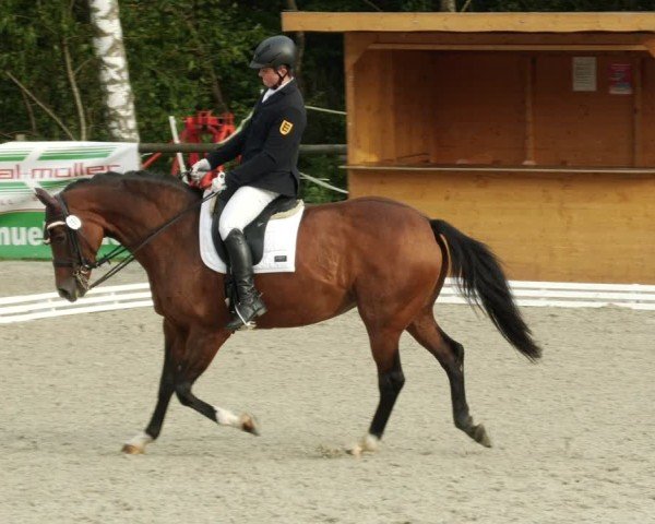 Reitturnier Ditzingen 2024