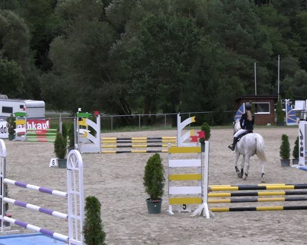 Reitturnier Bad Liebenstein/Sorga 2024