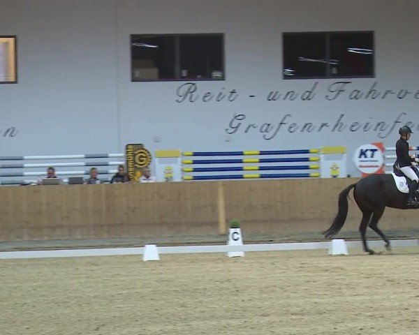 Reitturnier Grafenrheinfeld/Ufr. 2024